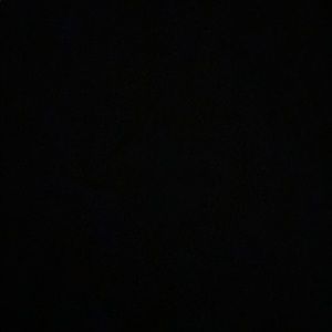 Meet your Posher, Bailey